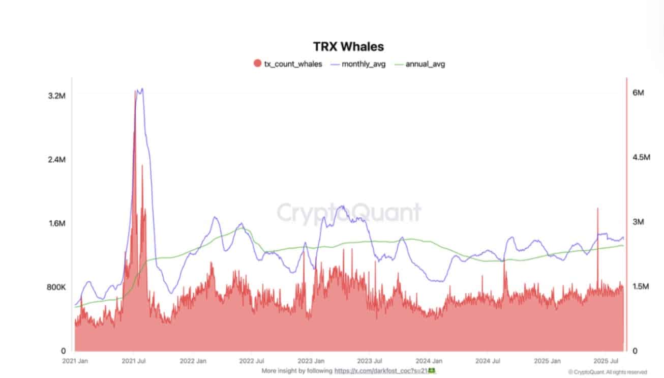 TRX whale transactions
