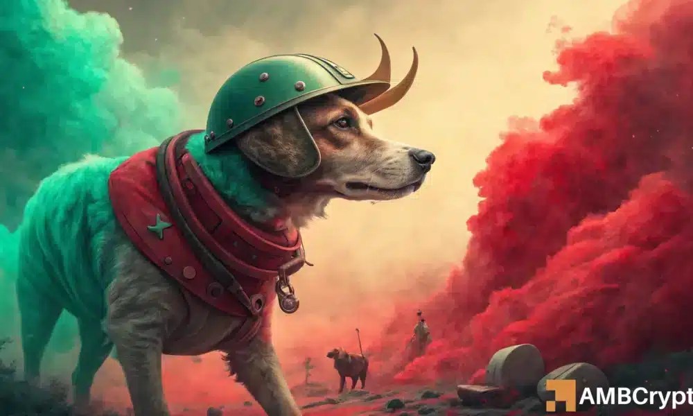 Why FLOKI is rallying despite a 72% yearly crash