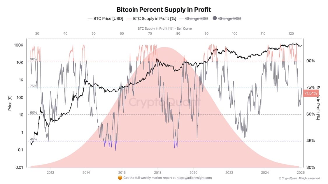Bitcoin supply in profit