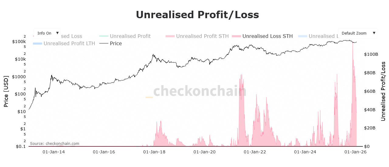 Bitcoin unrealized loss