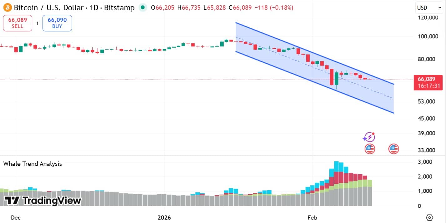 Bitcoin whale indicator