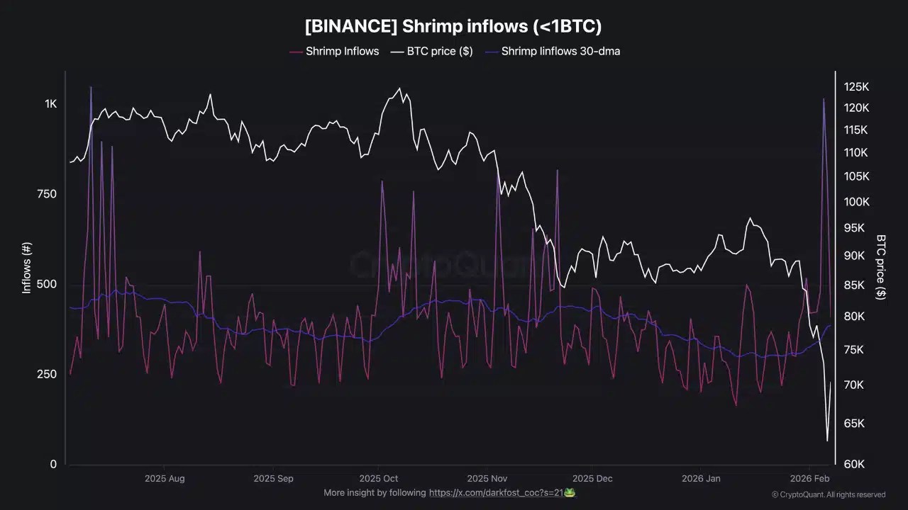 Bitcoin Shrimp Flows