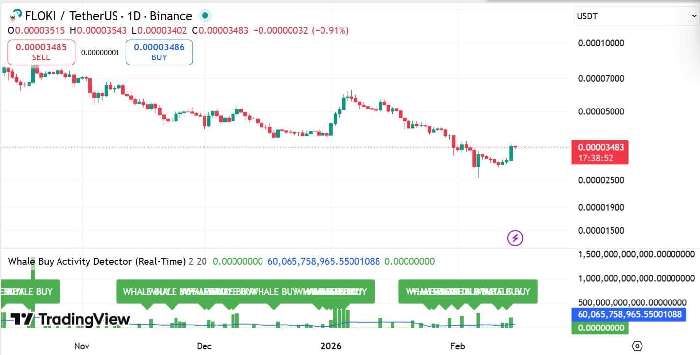Floki whale buy activity