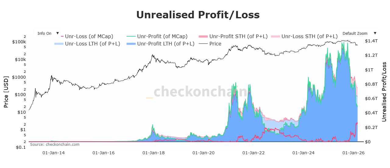 Bitcoin unrealized loss