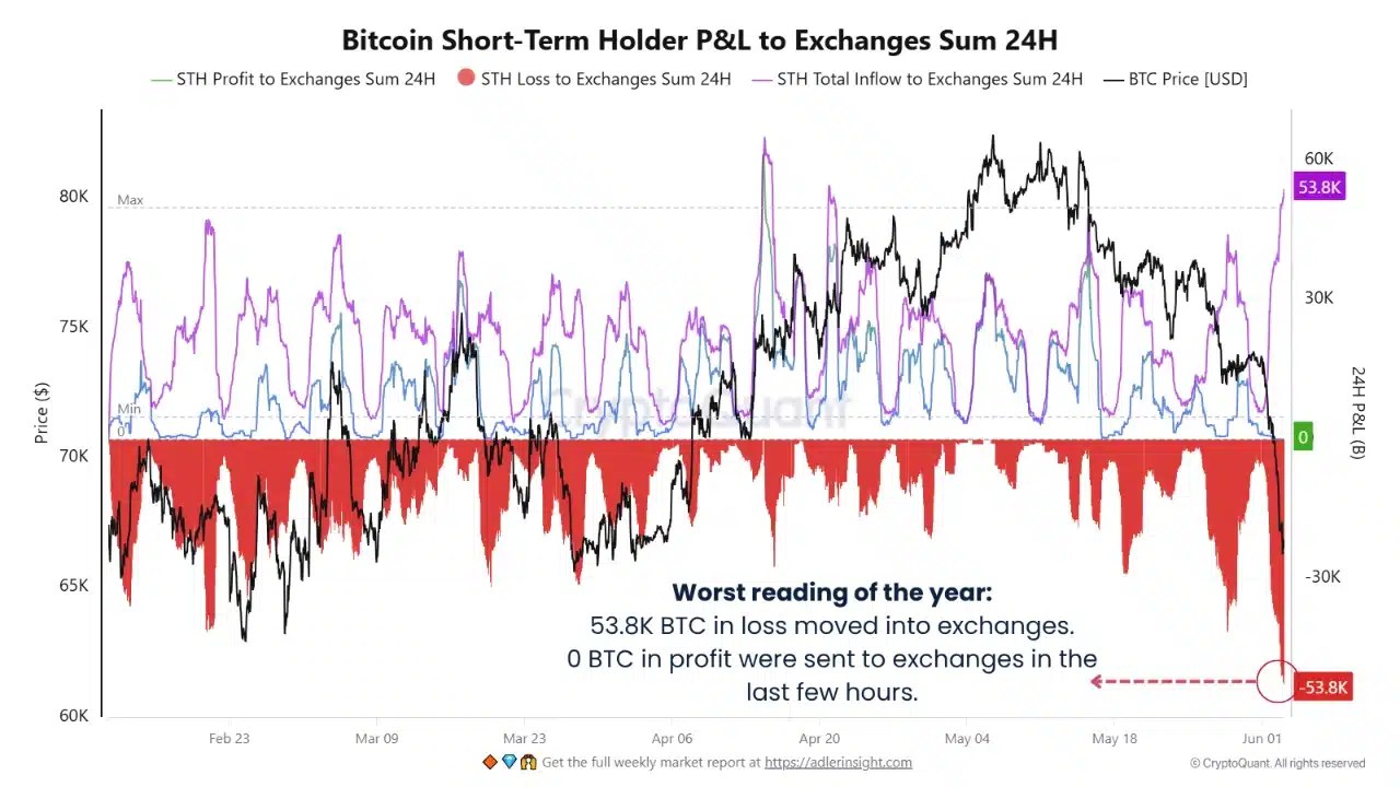 P&L du détenteur à court terme Bitcoin