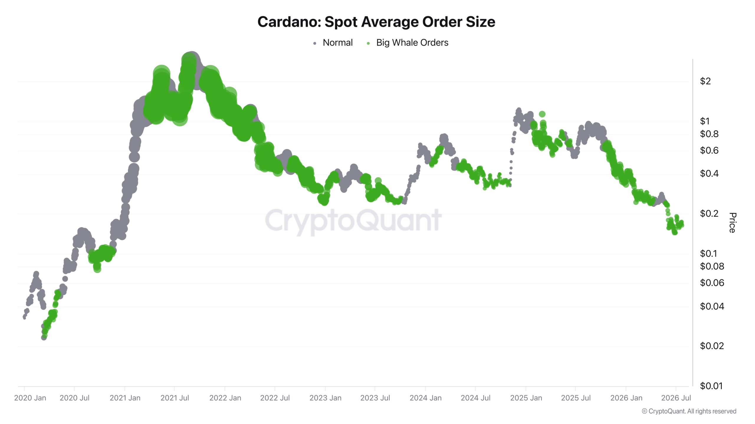 Taille moyenne du spot Cardano.