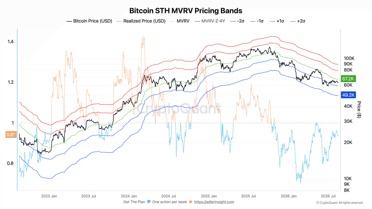 Bandes de prix Bitcoin STH MVRV