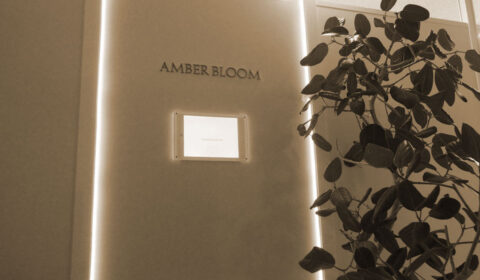株式会社AMBER BLOOM
