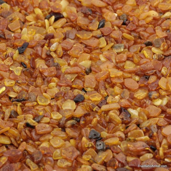 What is amber? When does amber come from? (pictures)