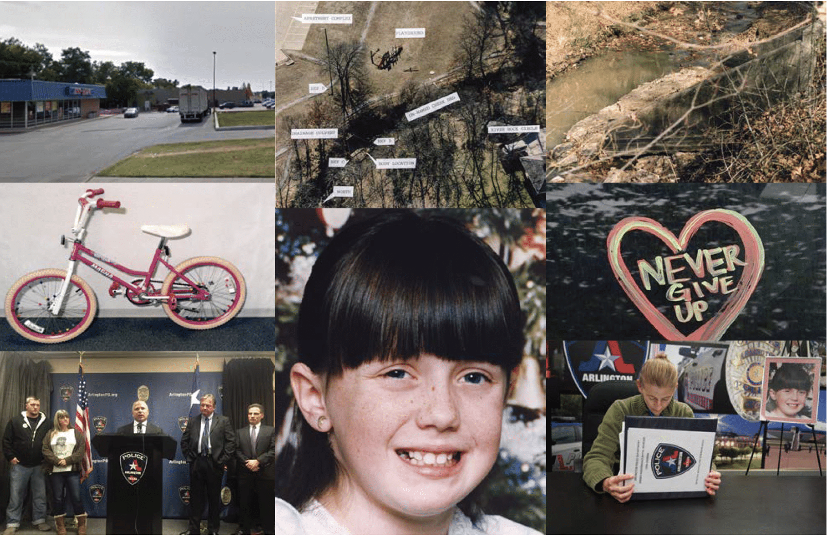 Ambers Legacy A Timeline Amber Advocate