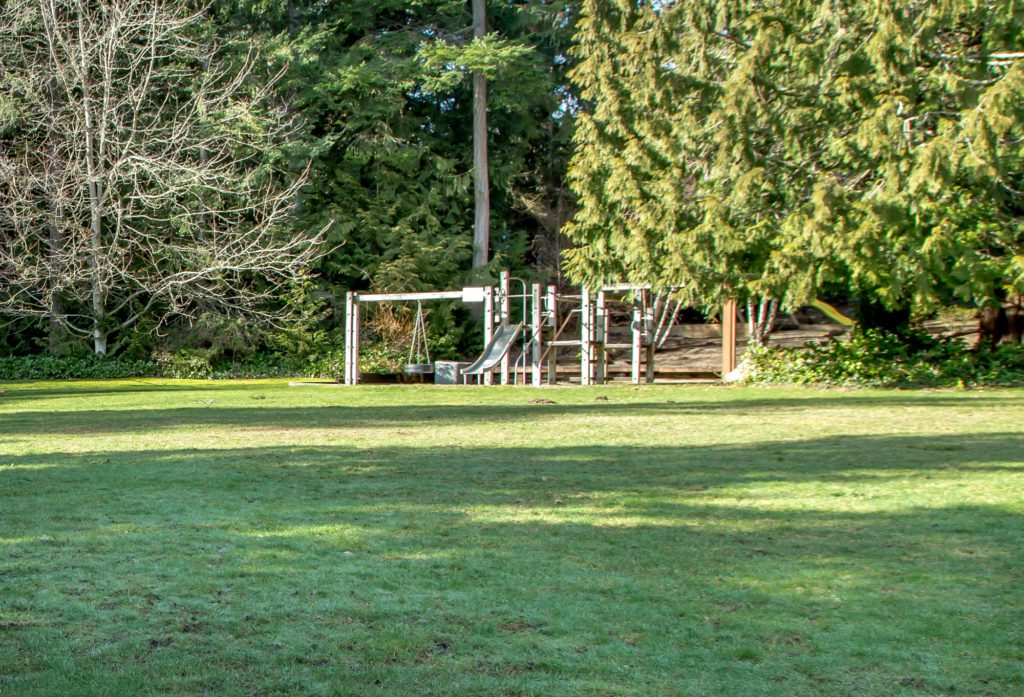 Cedar Downs Maple Valley Real Estate Agent Real Estate Maple Valley