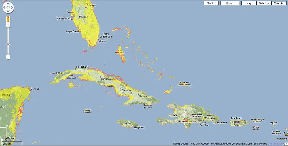 Sea Level Limbo In Caribbean How Low Can You Go? Ambergris Caye