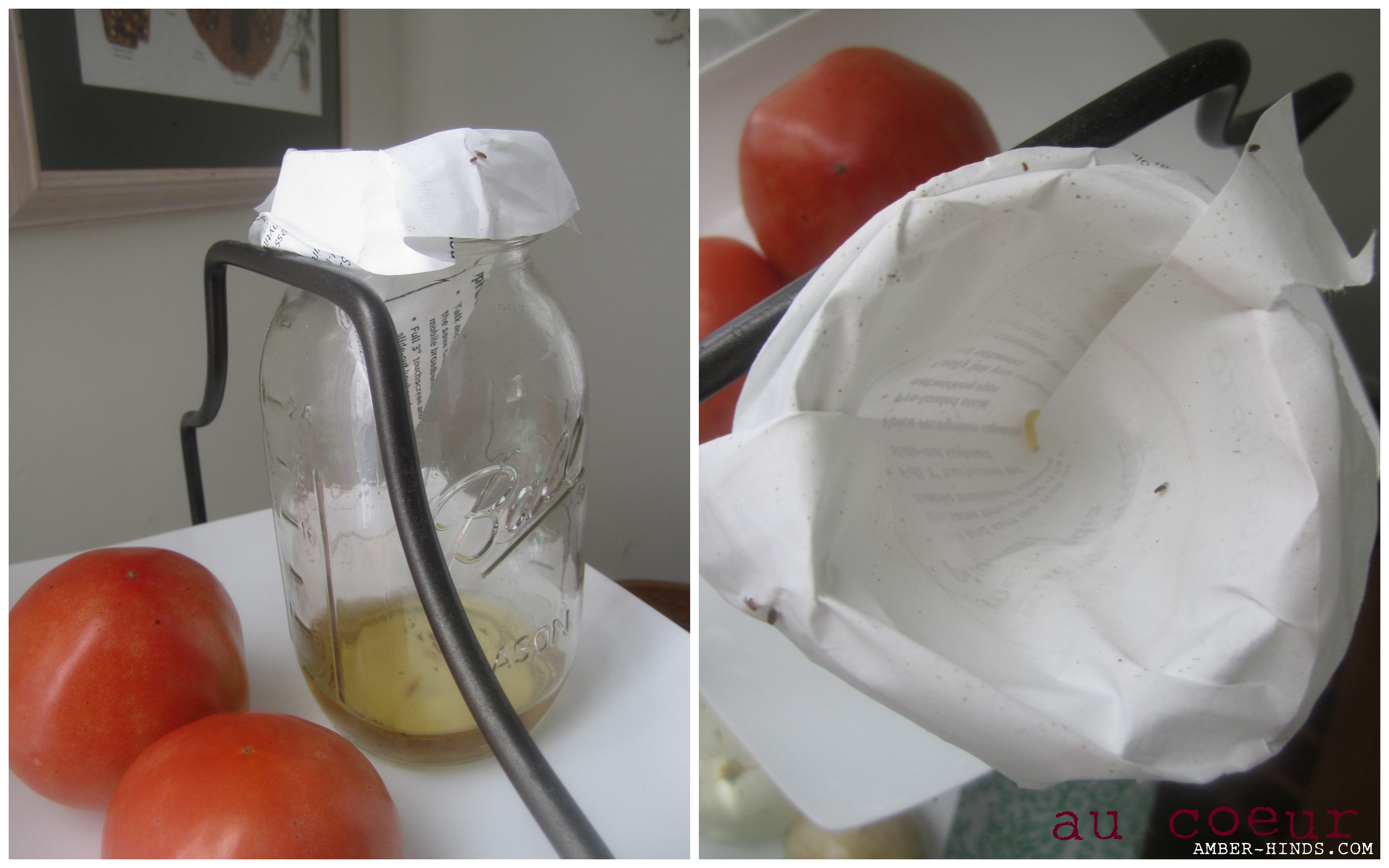 Catching Flies With Vinegar Amber Hinds