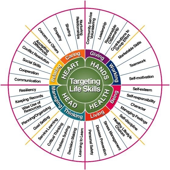 Life Skills Amber Scotchburn's Blog