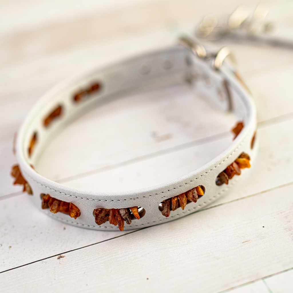 Amber Zoo dog collar white Amber Zoo