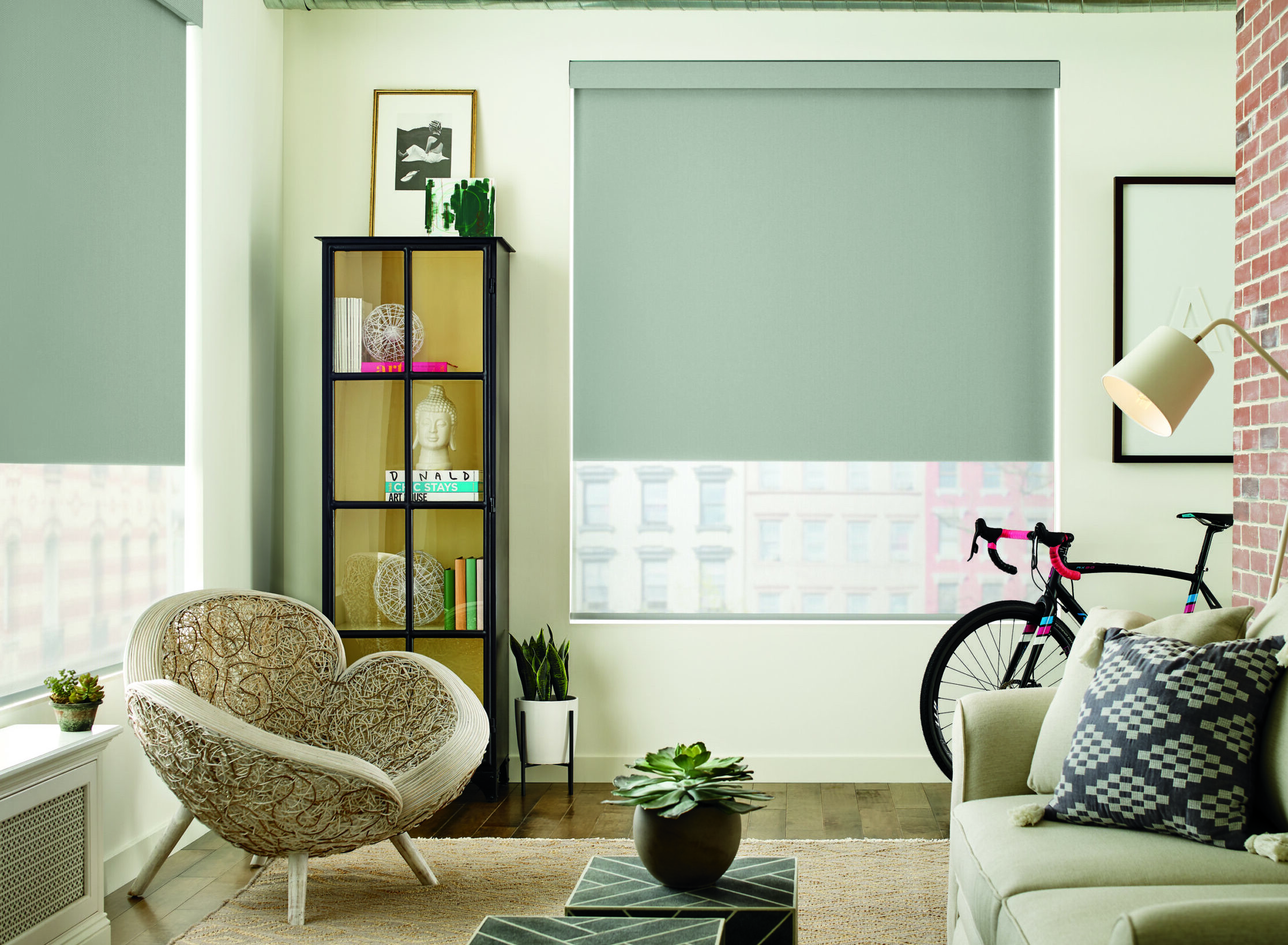 Hunter Douglas Designer Roller Shades