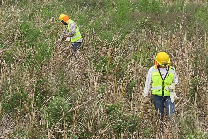 Servicios de Consultoría Ambiental en México Consultores REA