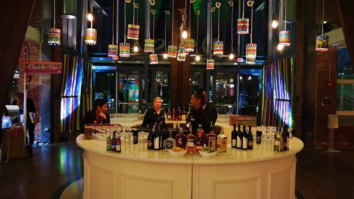 The Annual Hammond School Auction Ambient Media SC Event Lighting