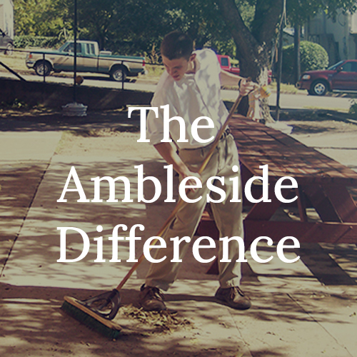 Homepage Ambleside International