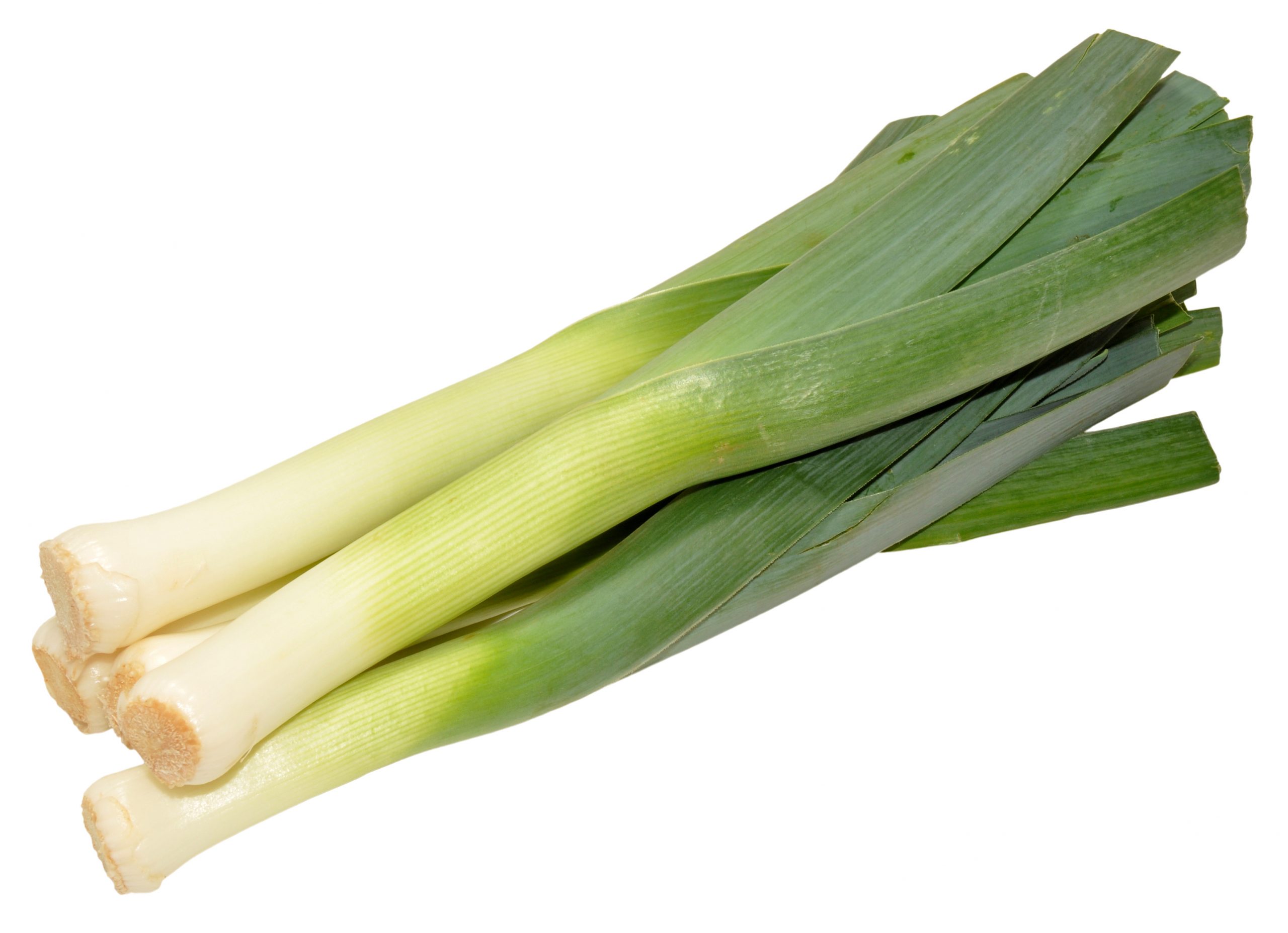 LEEKS BABY » J Ambrogi Foods