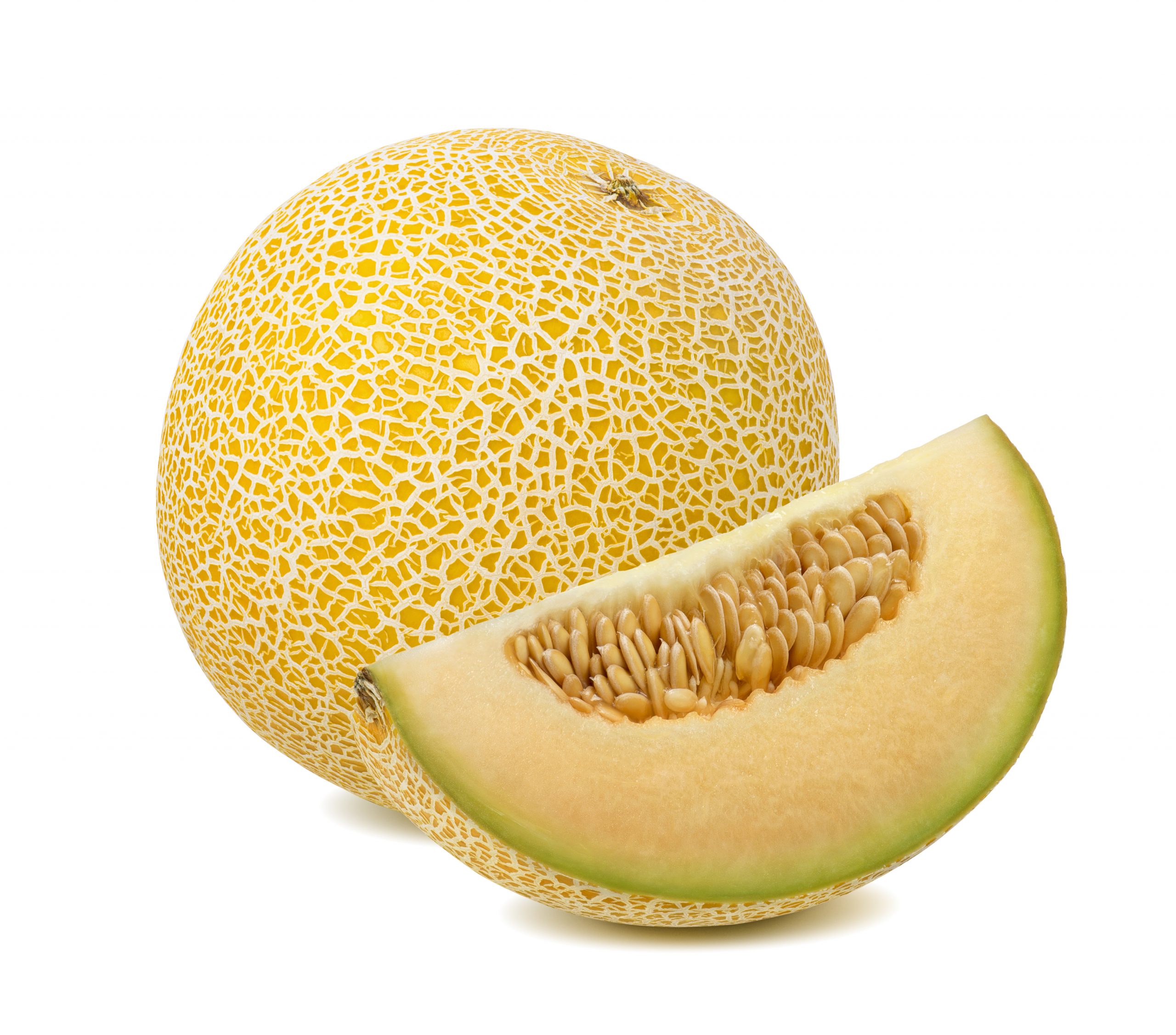 MELON GALIA CS 6CT » J Ambrogi Foods