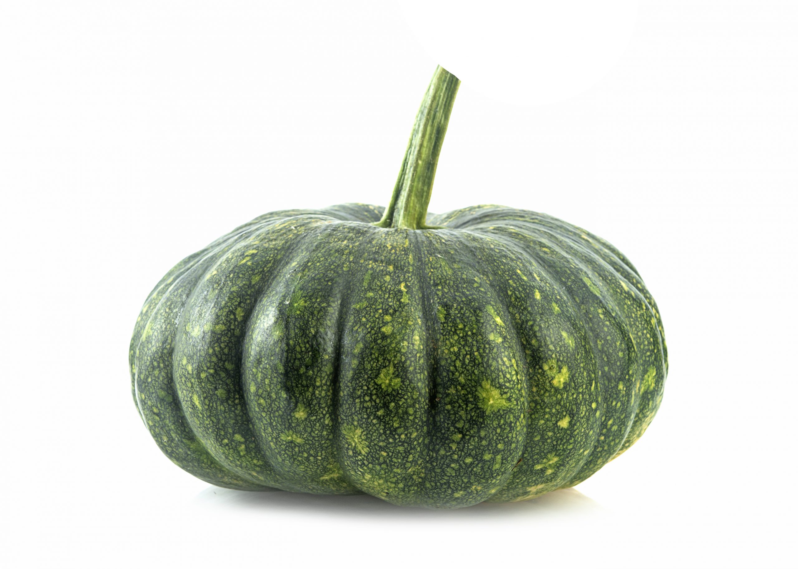SQUASH KABOCHA BUSHEL » J Ambrogi Foods