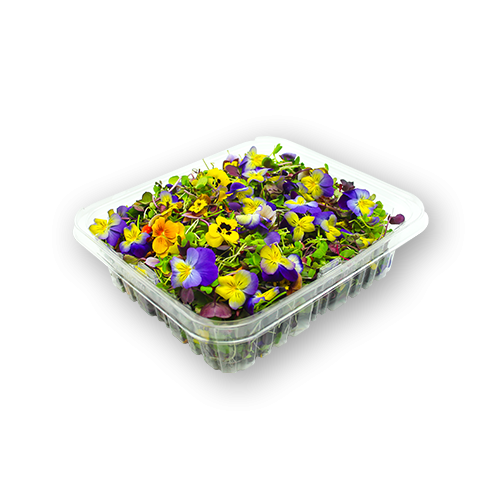 Microgreens & Edible Flowers » J Ambrogi Foods