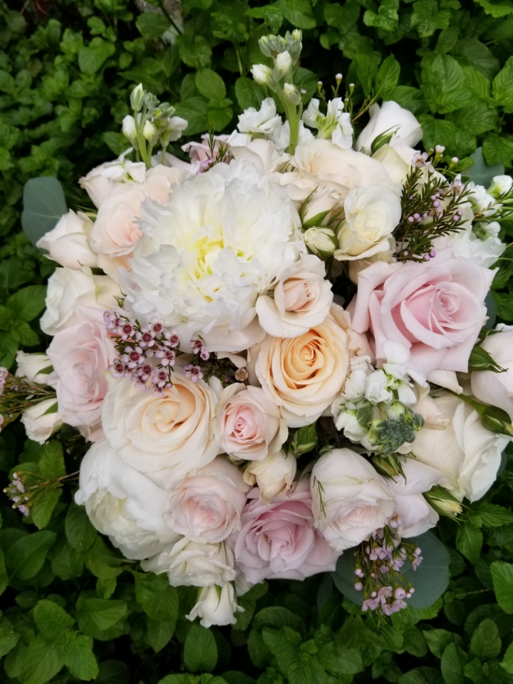 Ambrose Garden New Orleans Florists