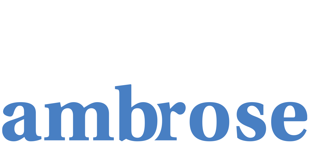 Ambrose Partners Integrated Government and Public Affairs Solutions