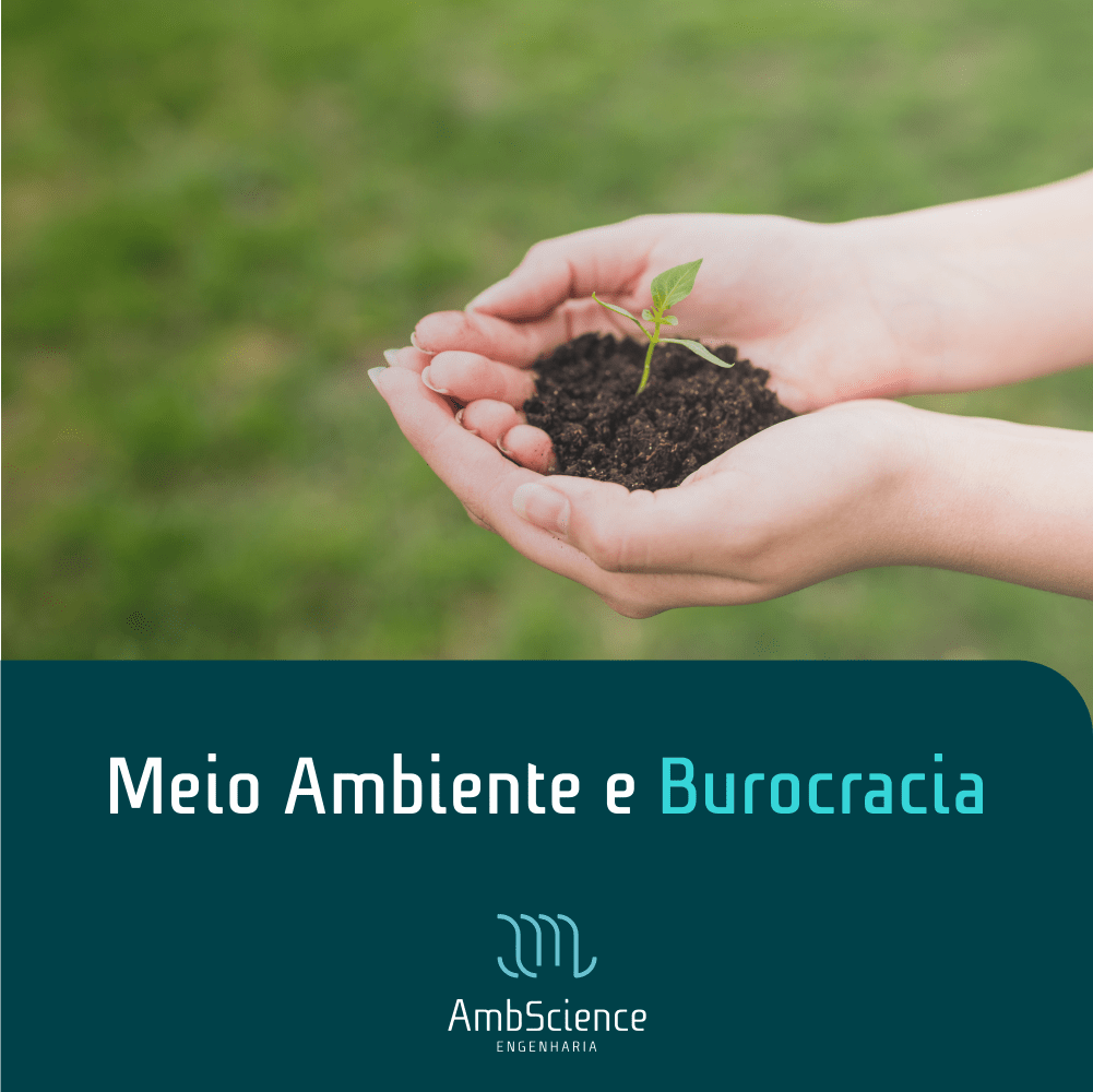 Como o meio ambiente é afetado pela burocracia AmbScienceAmbScience
