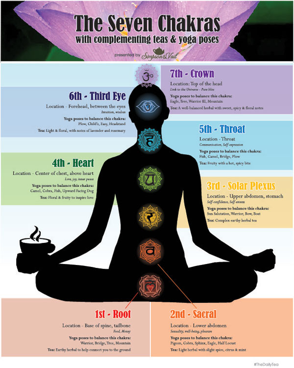 The 7 Chakras Every Yogi Must Know Ambuja Yoga