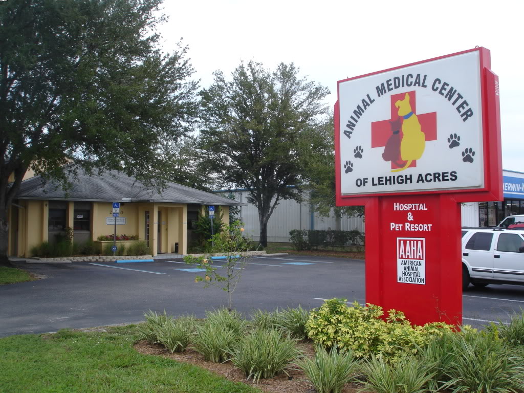 Promotions Lehigh Acres Vet Animal Medical Center of Lehigh Acres