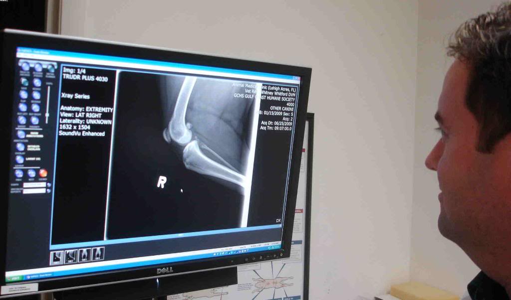 Digital Radiology in Lehigh Acres, FL Animal Medical Center of Lehigh