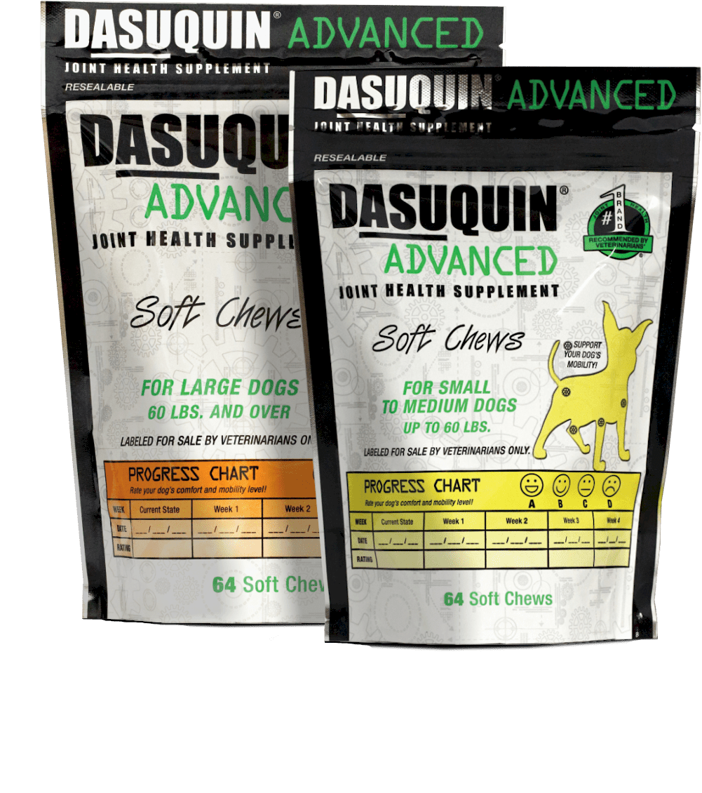 Pain Management in Lehigh Acres, FL Animal Medical Center of Lehigh Acres