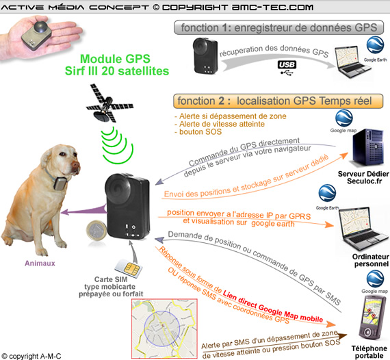 TR10A Collier Traceur GPS temps reel et enregistreur de données