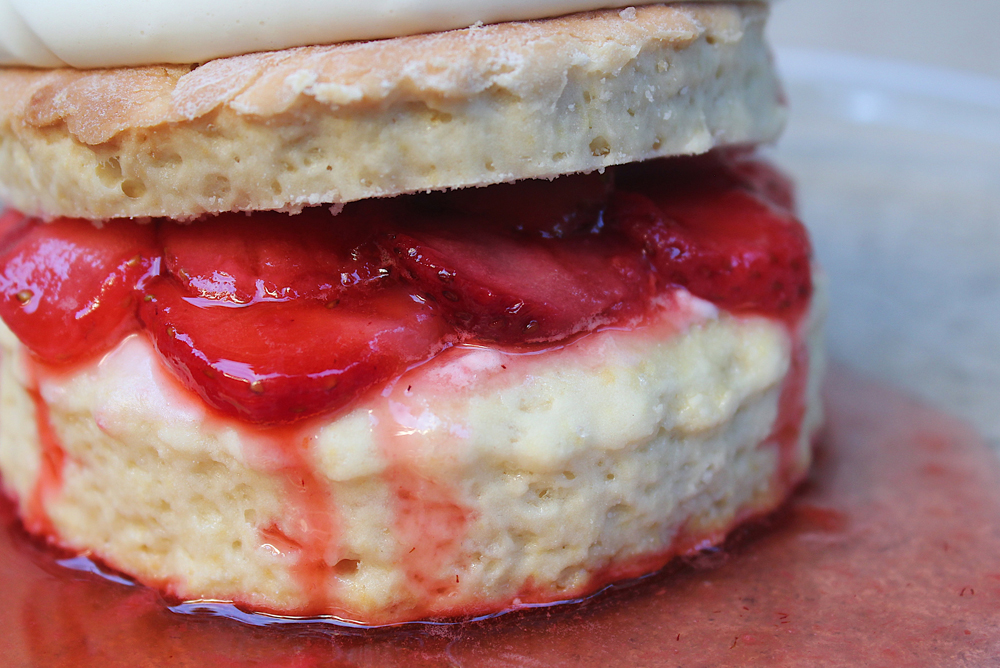 Strawberry Shortcake AMCARMEN'S KITCHEN