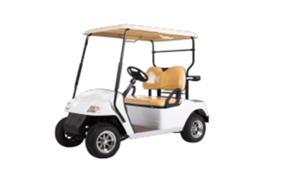 2024 AMC Cocoa AMCEG2028K AMC Golf Carts