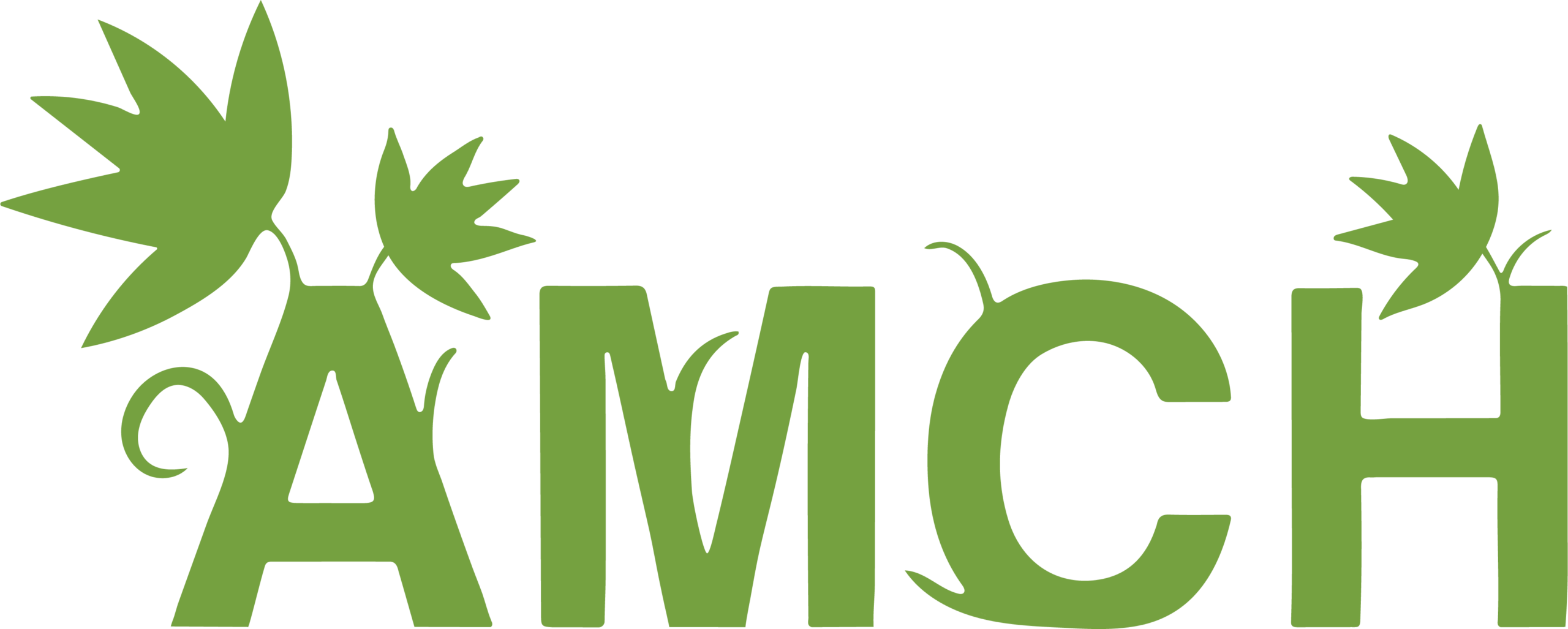 AMCH Denver's Premier Marijuana Dispensary