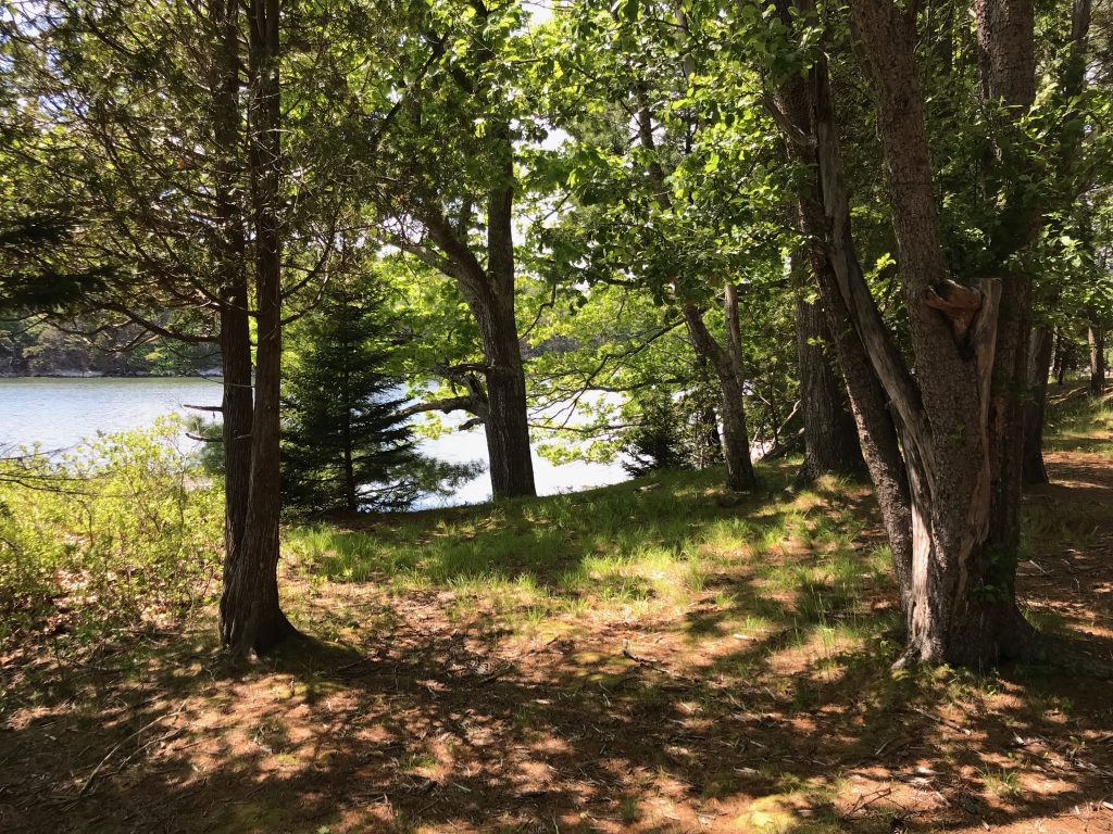 Beal Island Visual Tour