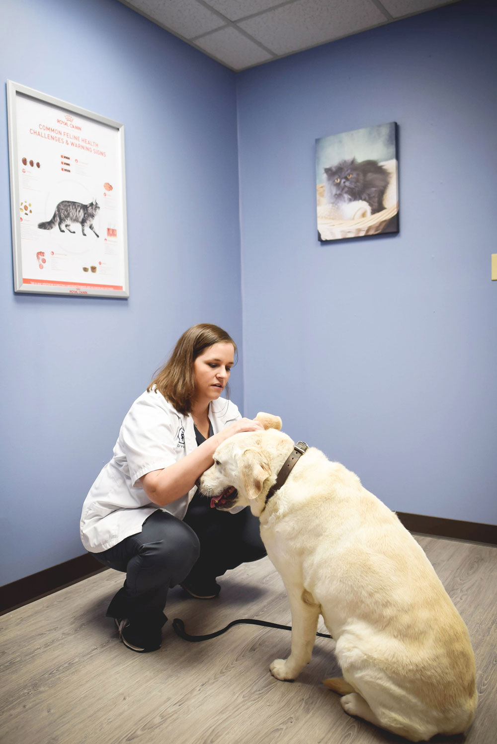 Hospital Tour of the Animal Medical Center of Litchfield Litchfield, IL