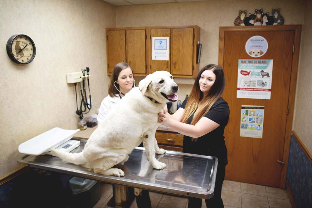Hospital Tour of the Animal Medical Center of Litchfield Litchfield, IL