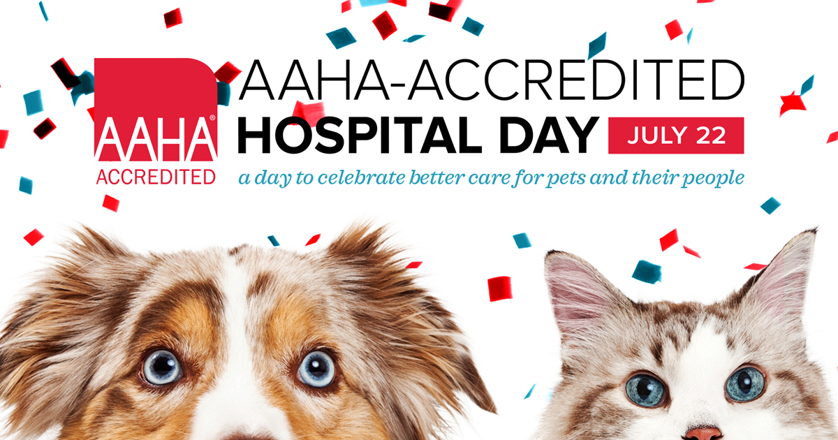 AAHAAccredited Hospital Day Animal Medical Center of MidAmerica