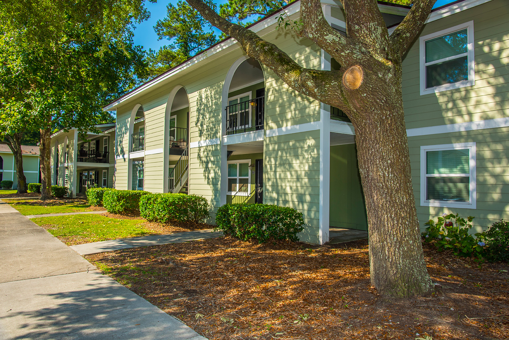 Anchorage Apartments AMCS Real Estate Management