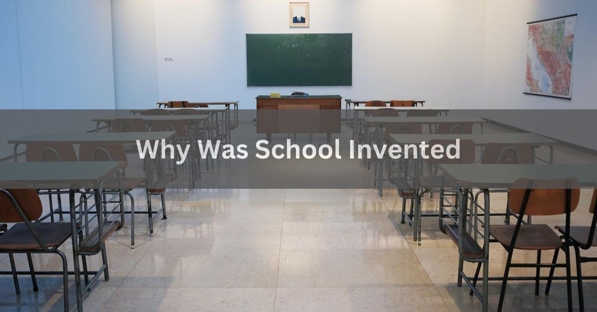 Why Was School Invented A Complete Overview In 2024!