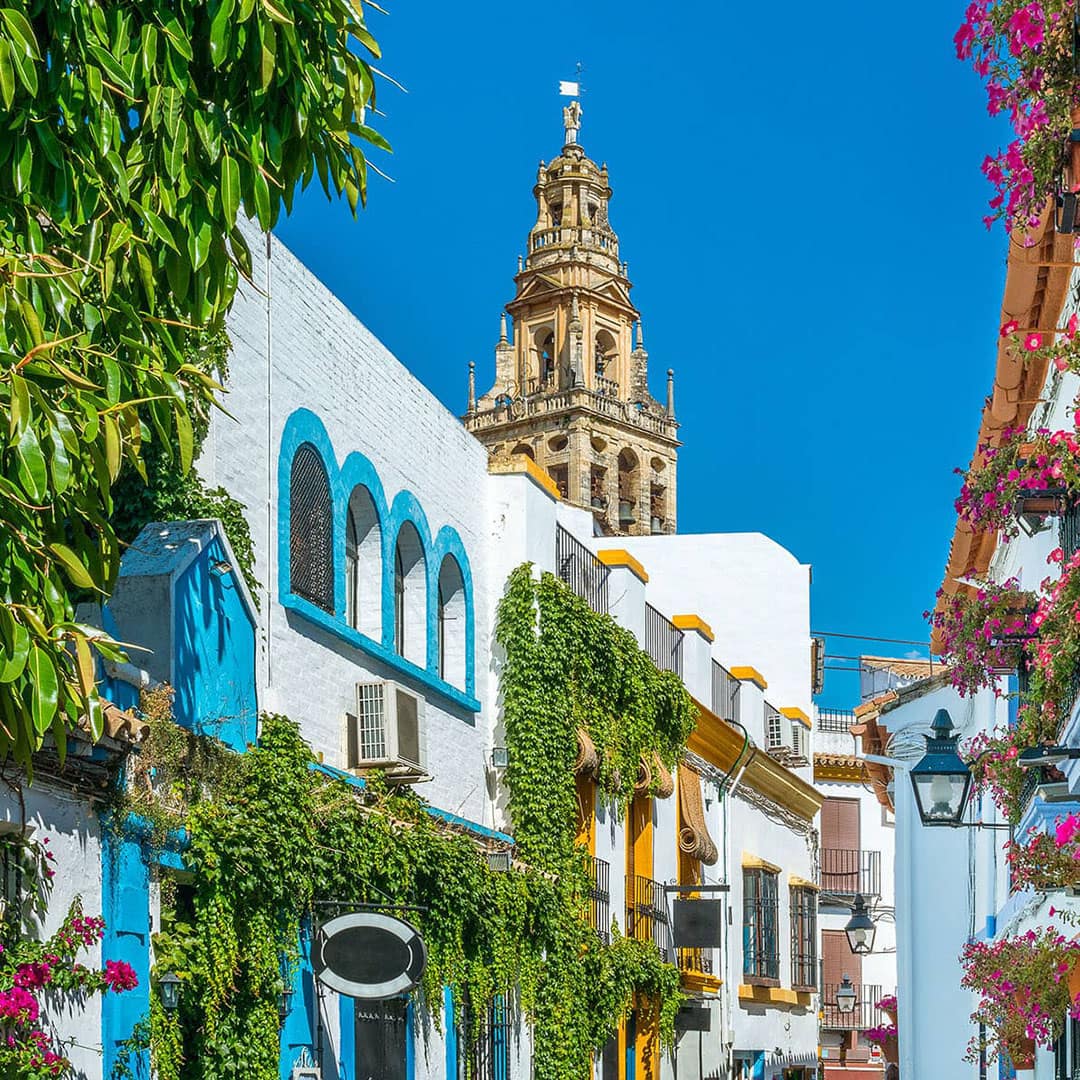 Visita guiada a la Judería en Córdoba (+ Mezquita) » Amedina