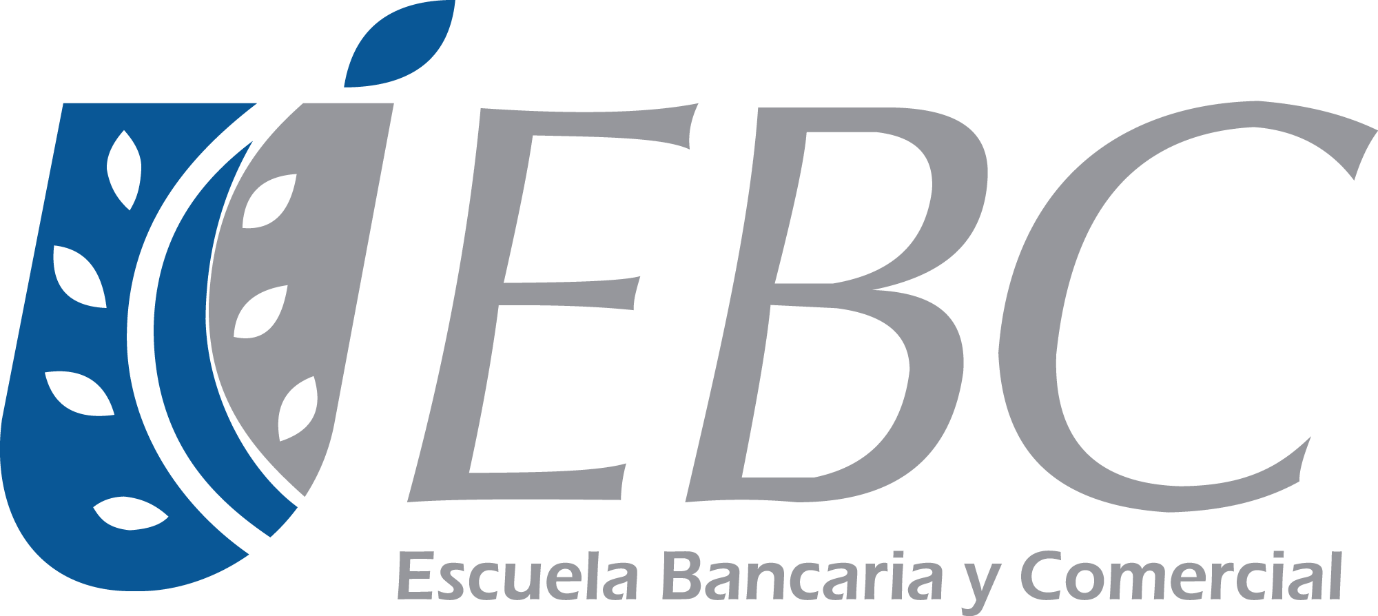 EBC - Asociación Mexicana de Estudios Internacionales