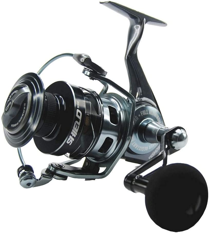 The Best Spinning Reels Under 200 * Amelia Fish Bites