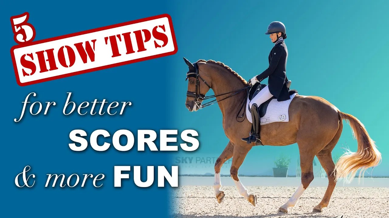 Top 5 Horse Show Tips Amelia Dressage