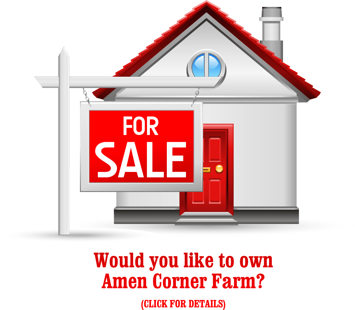 to Amen Corner Farm Horse Show and Boarding Facility in Folsom