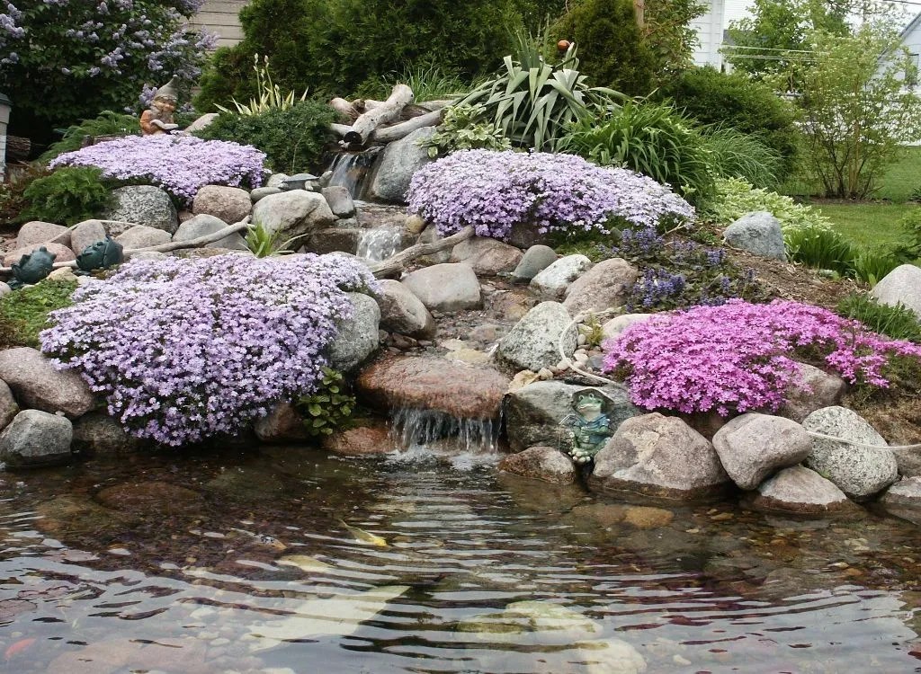 The Pros And Cons Of A Backyard Koi Pond Amen Corner Ponds